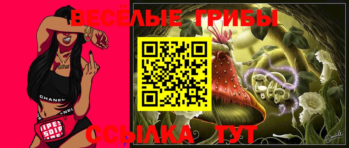 Галлюциногенные грибы Psilocybine cubensis Спасск-Дальний