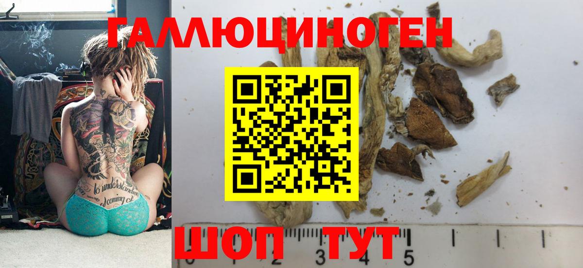 Галлюциногенные грибы Psilocybe  Галлюциногенные грибы MAGIC MUSHROOMS  Спасск-Дальний  Вход с VPN 